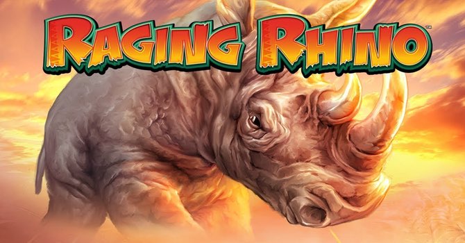 raging-rhino slot